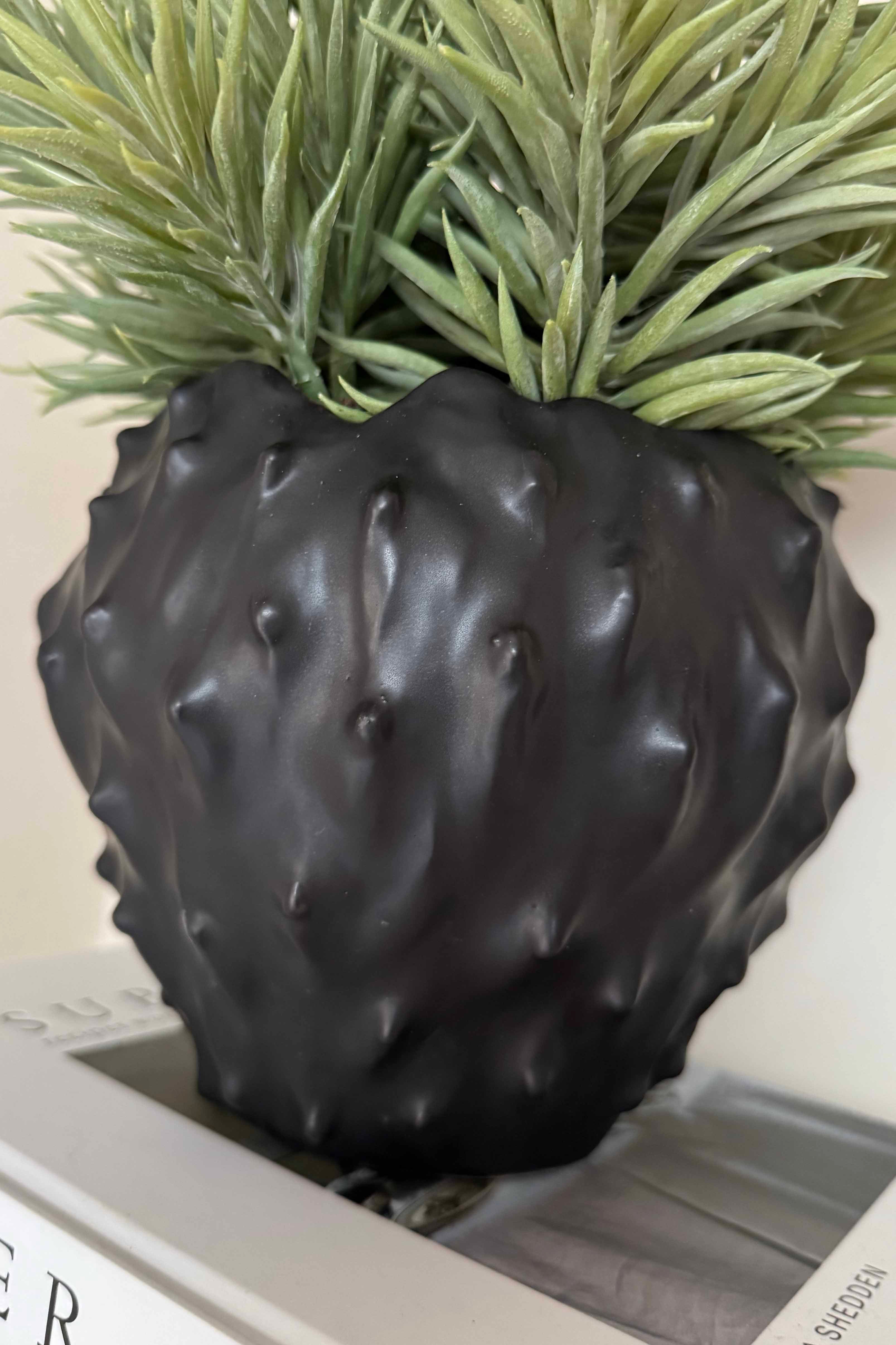 Spiky Succulents in a Black 'Cactus' Vase RTfact Flowers 