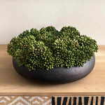 Green decorative ball in a black bowl on a wooden surface with a patterned wall in the background
