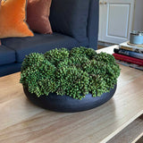 Green Berry in a Rustic Dimpled Black Metal Bowl