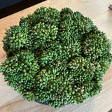 Green Berry in a Rustic Dimpled Black Metal Bowl