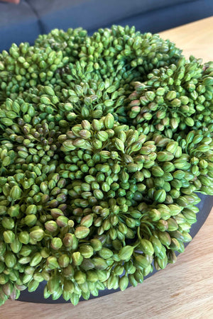 Green Berry in a Rustic Dimpled Black Metal Bowl