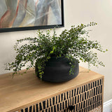 Maidenhair Fern and Leaf Spray in a Black Clay Pot