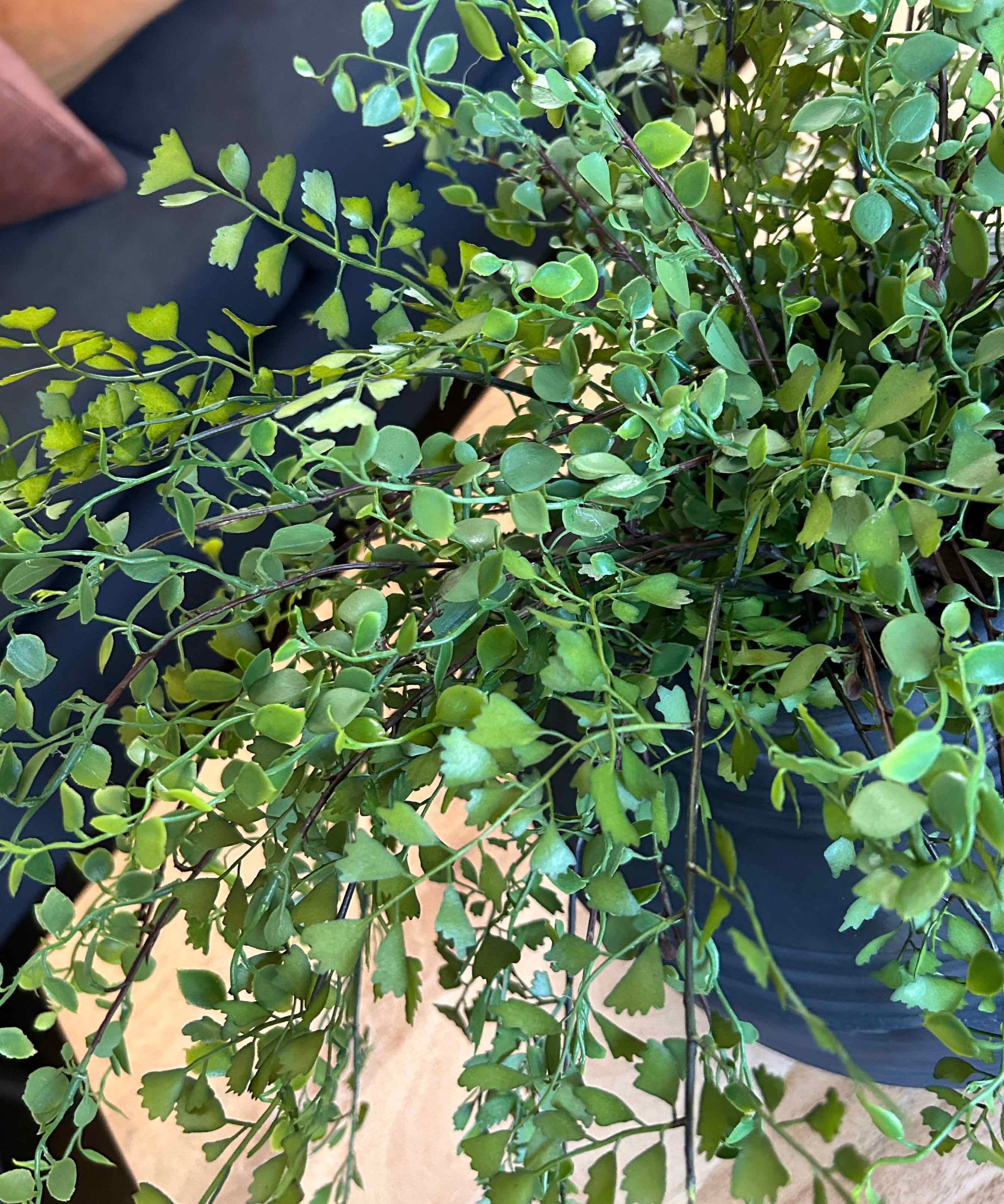 Maidenhair Fern and Leaf Spray in a Black Clay Pot