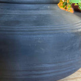 Maidenhair Fern and Leaf Spray in a Black Clay Pot