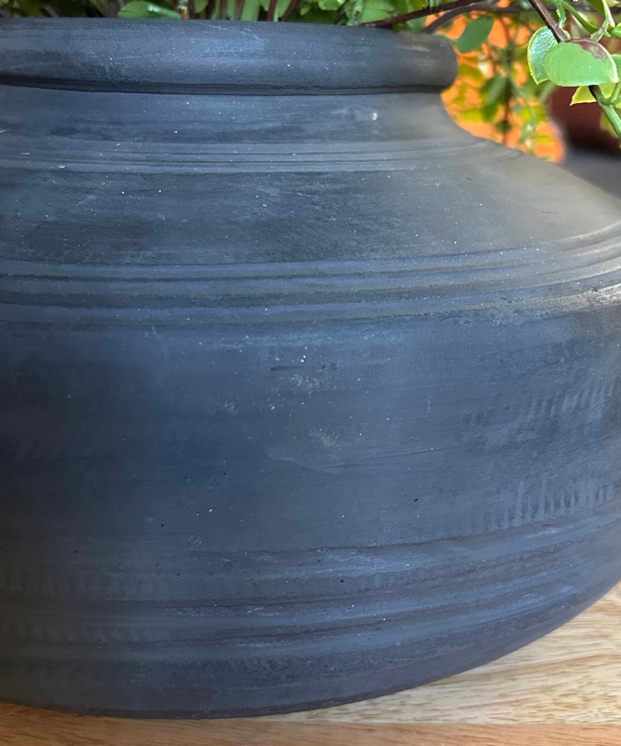 Maidenhair Fern and Leaf Spray in a Black Clay Pot