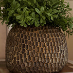 Teabush in a Bronze Dimpled Vase RTfact Flowers 