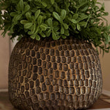 Teabush in a Bronze Dimpled Vase RTfact Flowers 