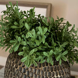 Teabush in a Bronze Dimpled Vase