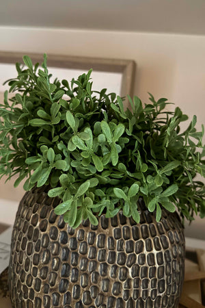 Teabush in a Bronze Dimpled Vase