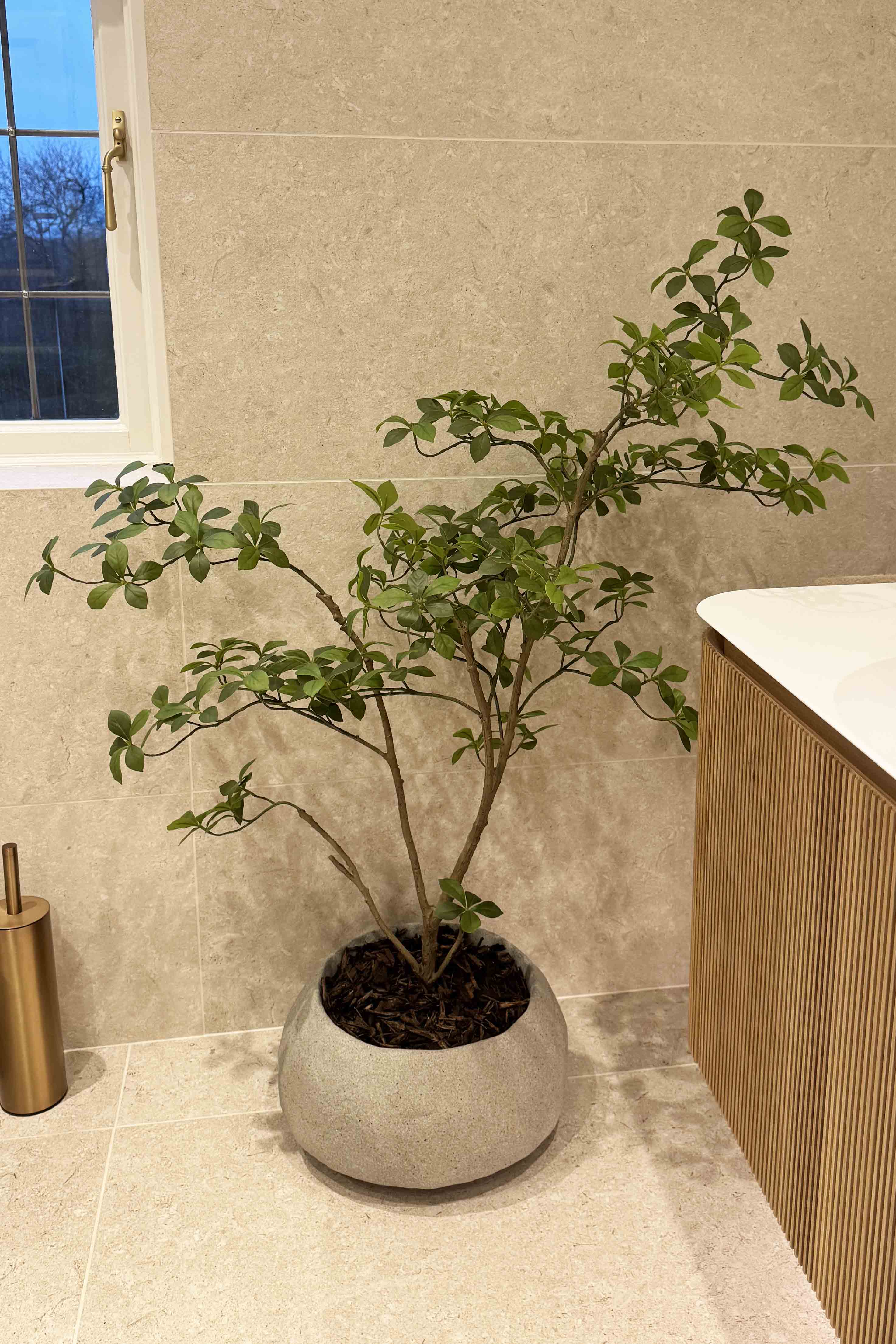 Gardenia Jasmin Leaf h120cm RTfact Flowers 
