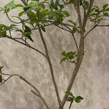 Gardenia Jasmin Leaf h120cm RTfact Flowers 