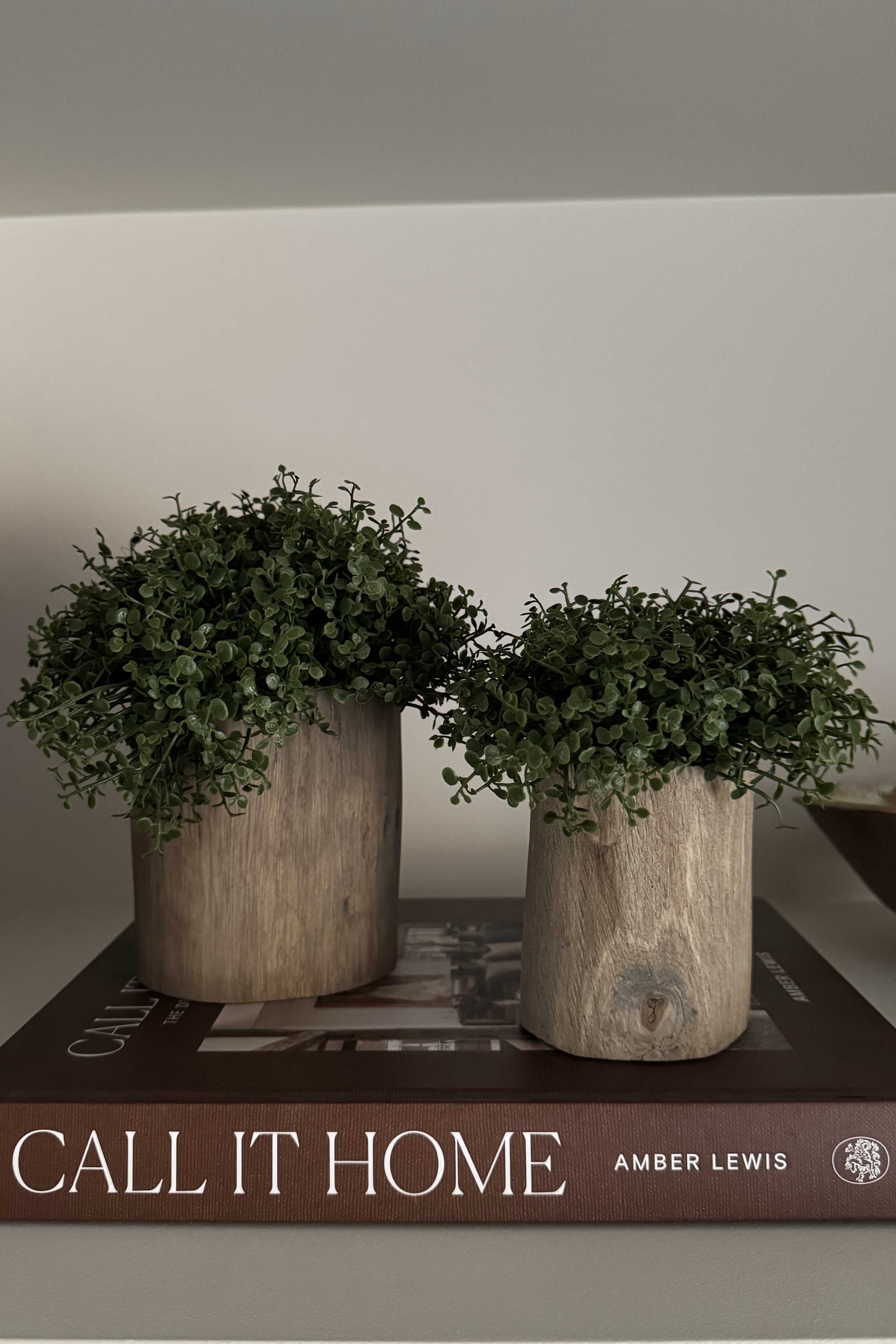 Mind Your Own Business in a Wooden Pot (Set of 2) RTfact Flowers 