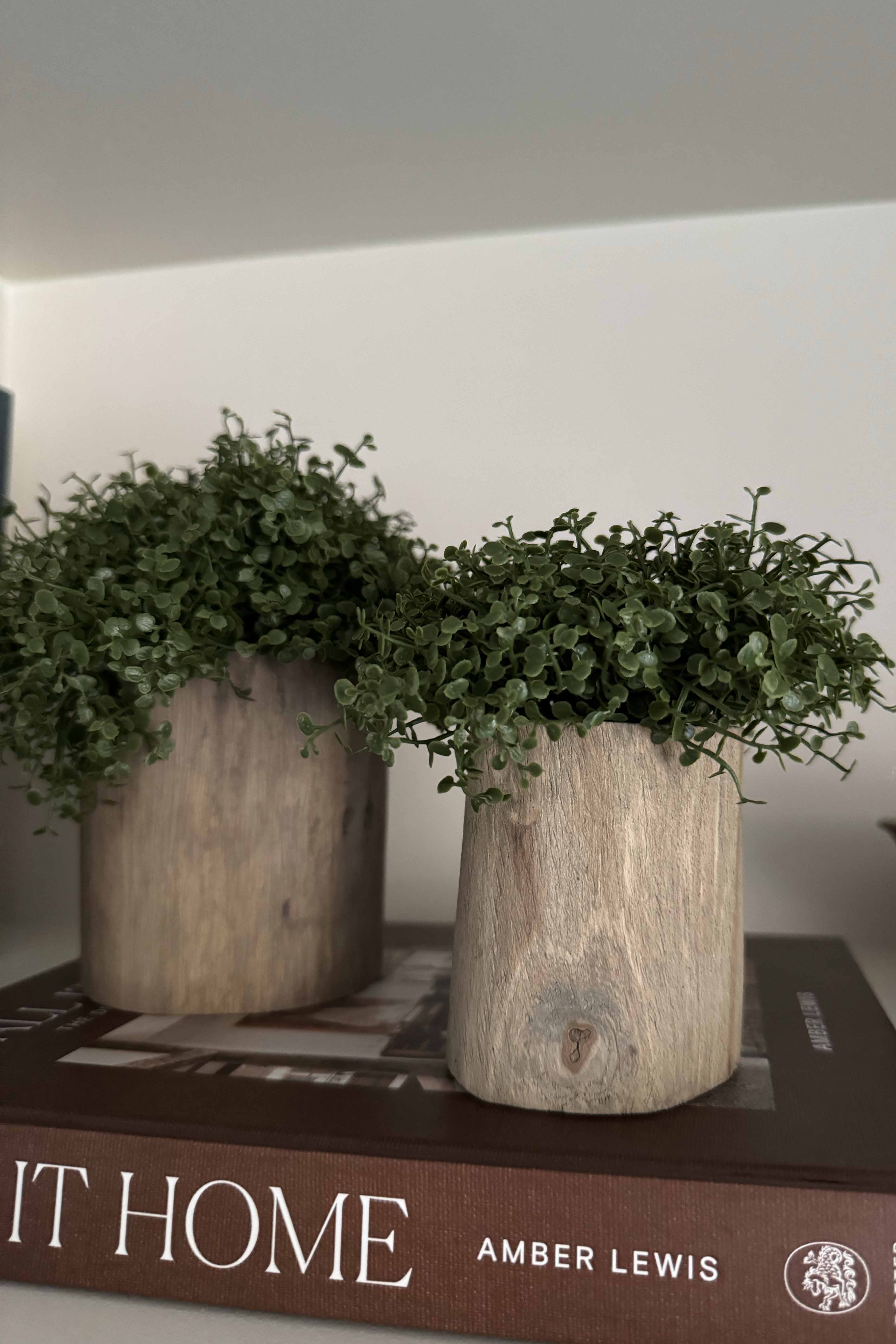 Mind Your Own Business in a Wooden Pot (Set of 2) RTfact Flowers 