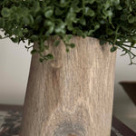 Mind Your Own Business in a Wooden Pot (Set of 2) RTfact Flowers 