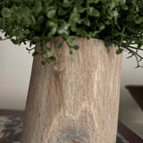 Mind Your Own Business in a Wooden Pot (Set of 2) RTfact Flowers 