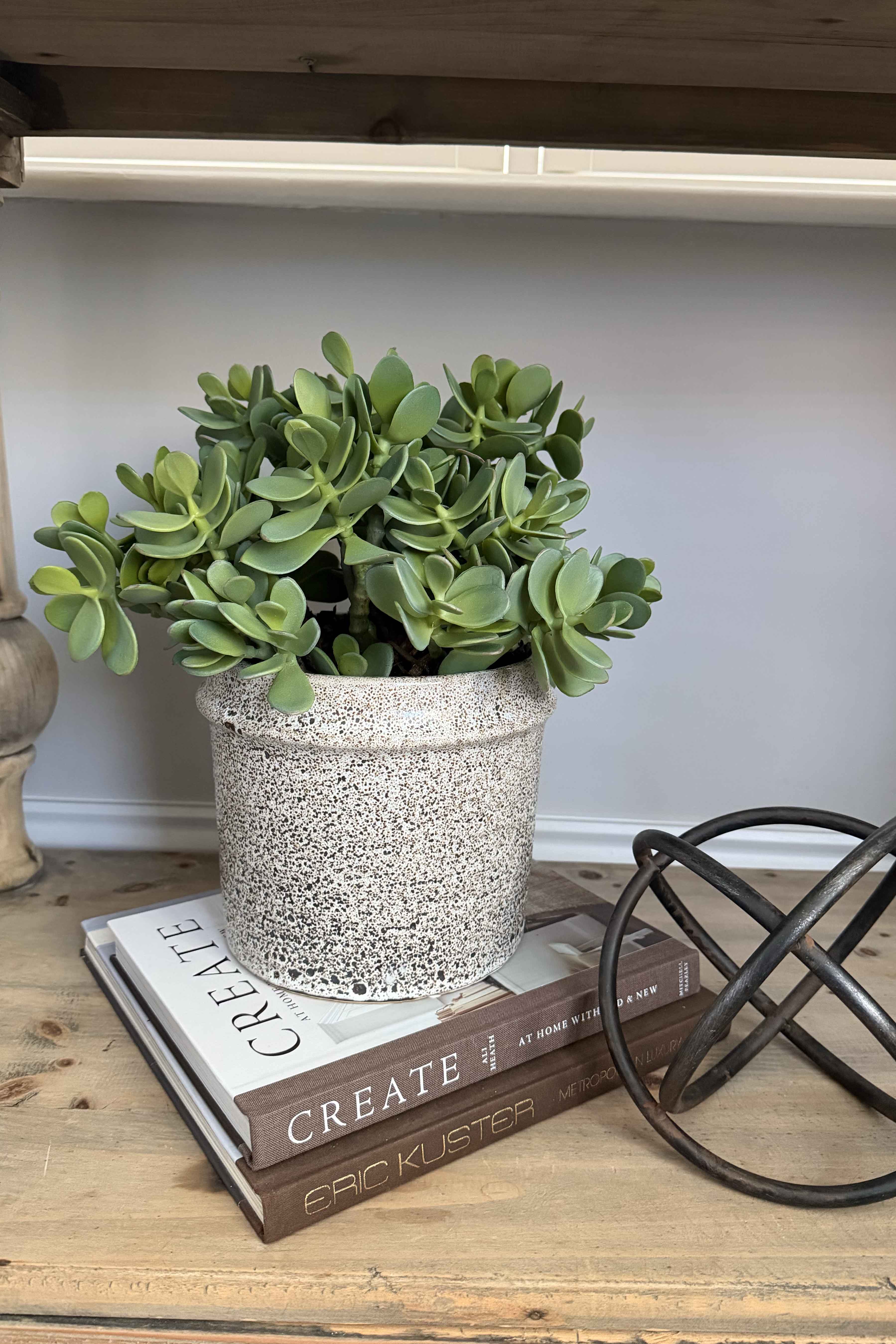 Jade Plant in a Speckled Ceramic Pot RTfact Flowers 