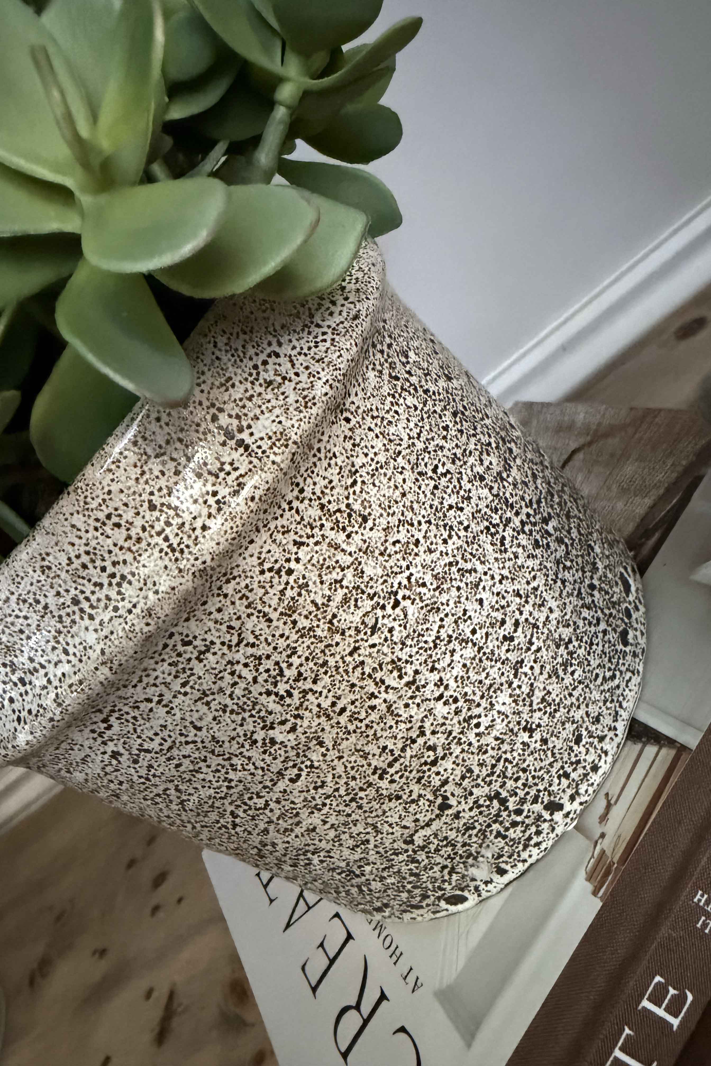 Jade Plant in a Speckled Ceramic Pot RTfact Flowers 