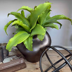 Succulent in a Metallic Bronze Vase RTfact Flowers 