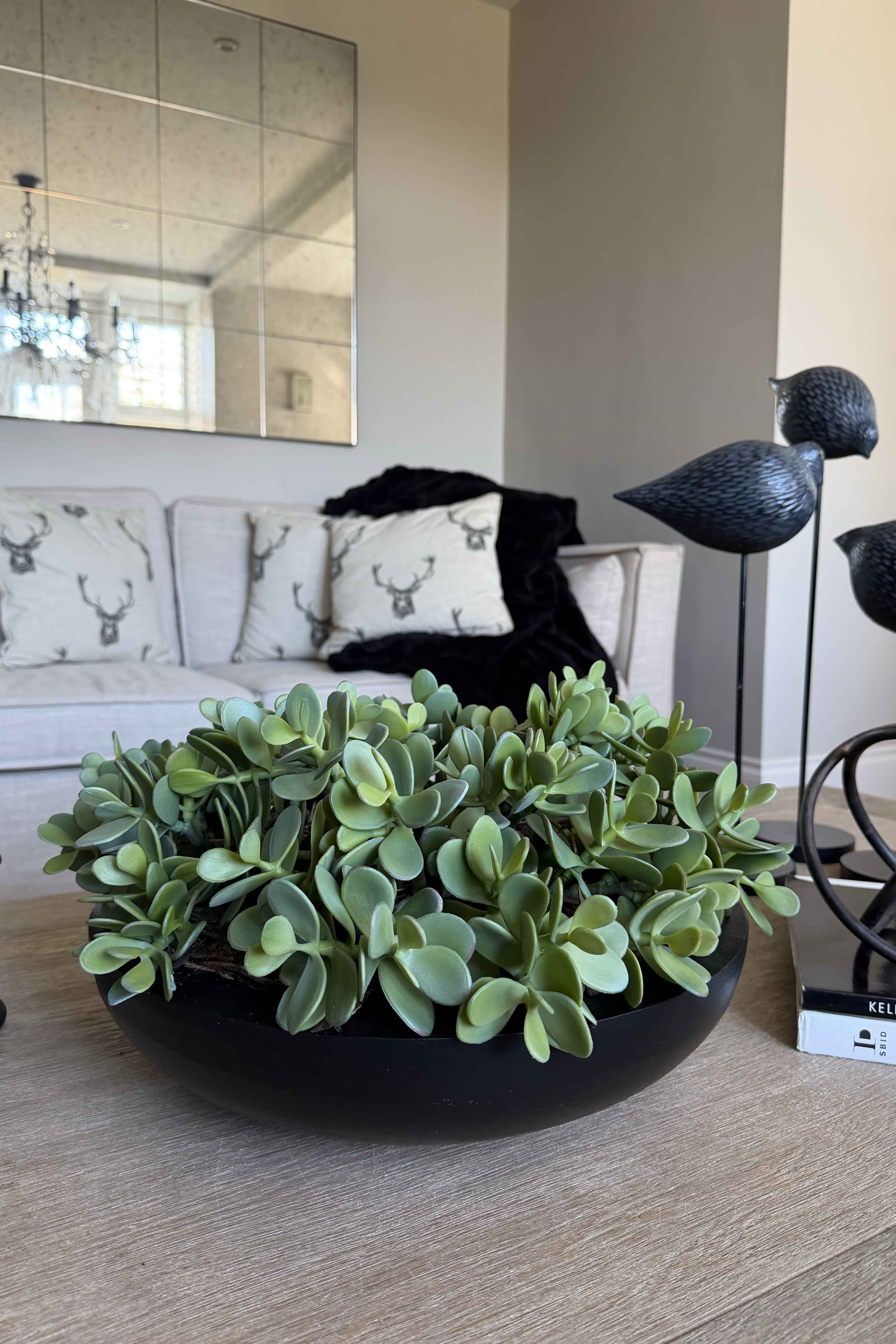 Jade Plant in a Black Metal Bowl RTfact Flowers 