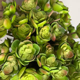 Succulent Branch in a Rustic Brown Pedestal Bowl RTfact Flowers 