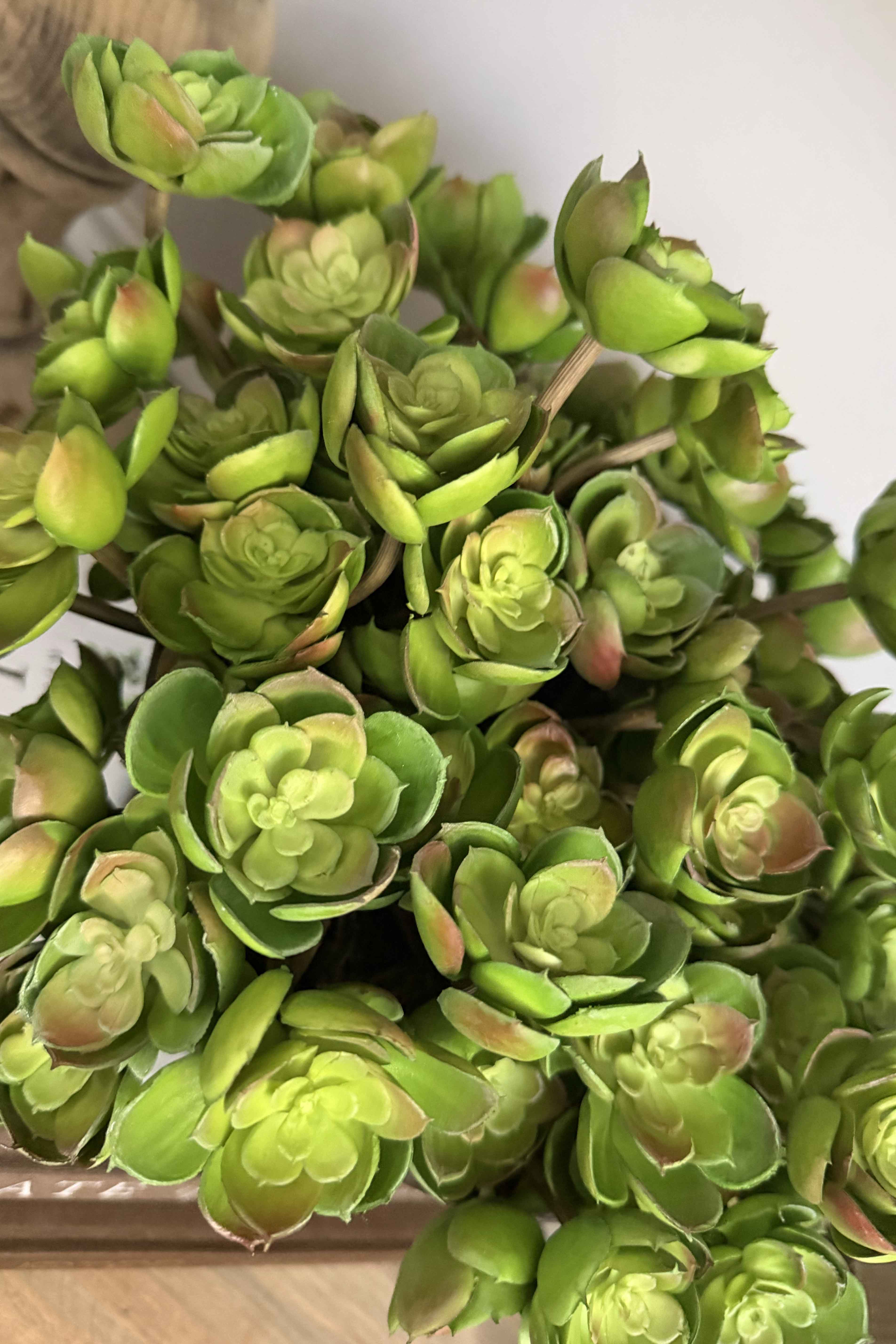 Succulent Branch in a Rustic Brown Pedestal Bowl RTfact Flowers 