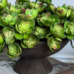 Succulent Branch in a Rustic Brown Pedestal Bowl RTfact Flowers 