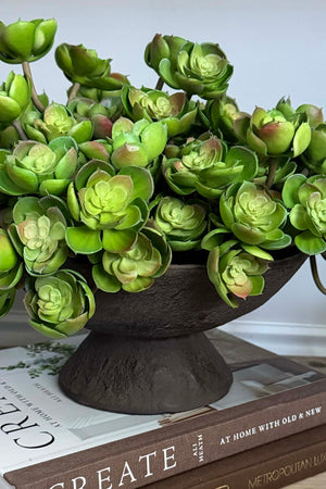 Succulent Branch in a Rustic Brown Pedestal Bowl RTfact Flowers 