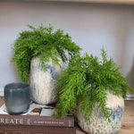 Asparagus Fern in Textured Ceramic Vases RTfact Flowers 