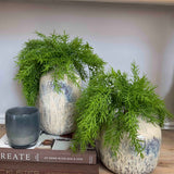 Asparagus Fern in Textured Ceramic Vases RTfact Flowers 