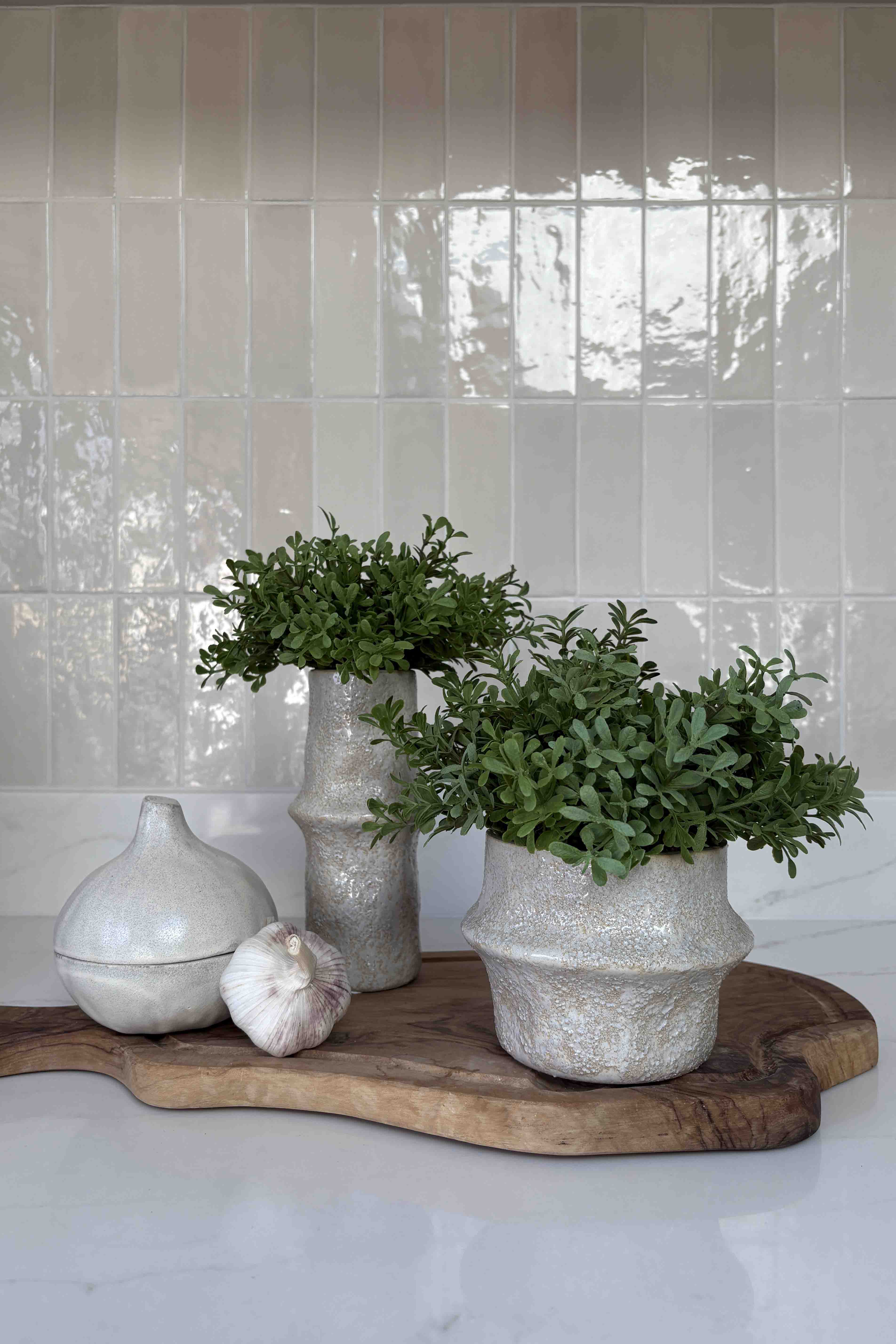 Tea Bush in a White Stone Vase (short) RTfact Flowers 