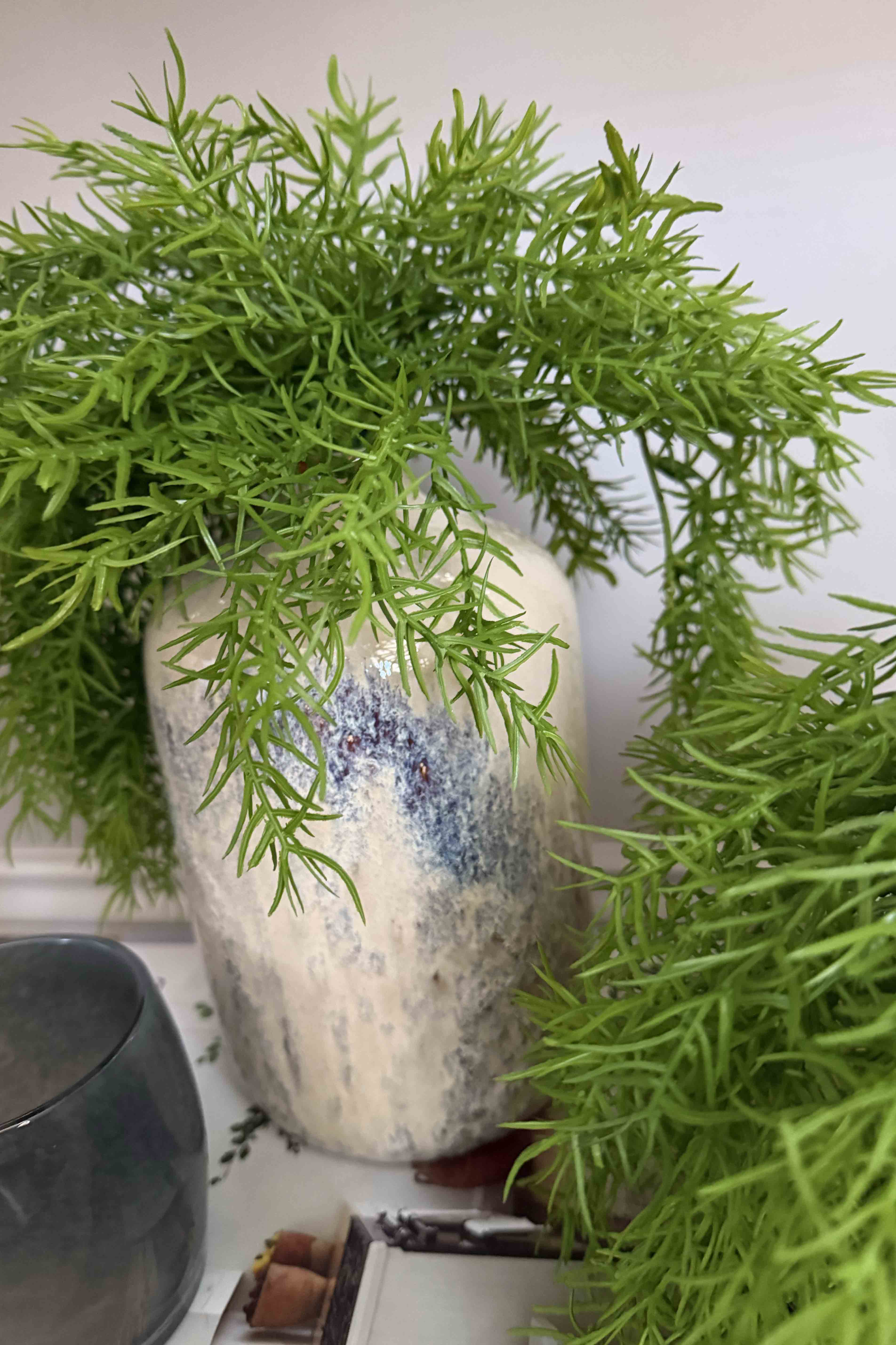 Asparagus Fern in Textured Ceramic Vases RTfact Flowers 