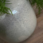 Asparagus Fern in Textured Ceramic Vases RTfact Flowers 