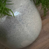 Asparagus Fern in Textured Ceramic Vases RTfact Flowers 