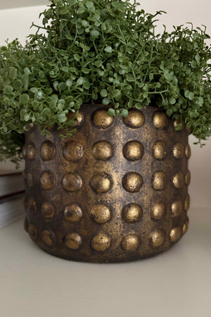 Mind Your Own Business in a Bronze Bobble Pot RTfact Flowers 