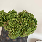 Green Berry in a Handpainted Bobble Vase RTfact Flowers 