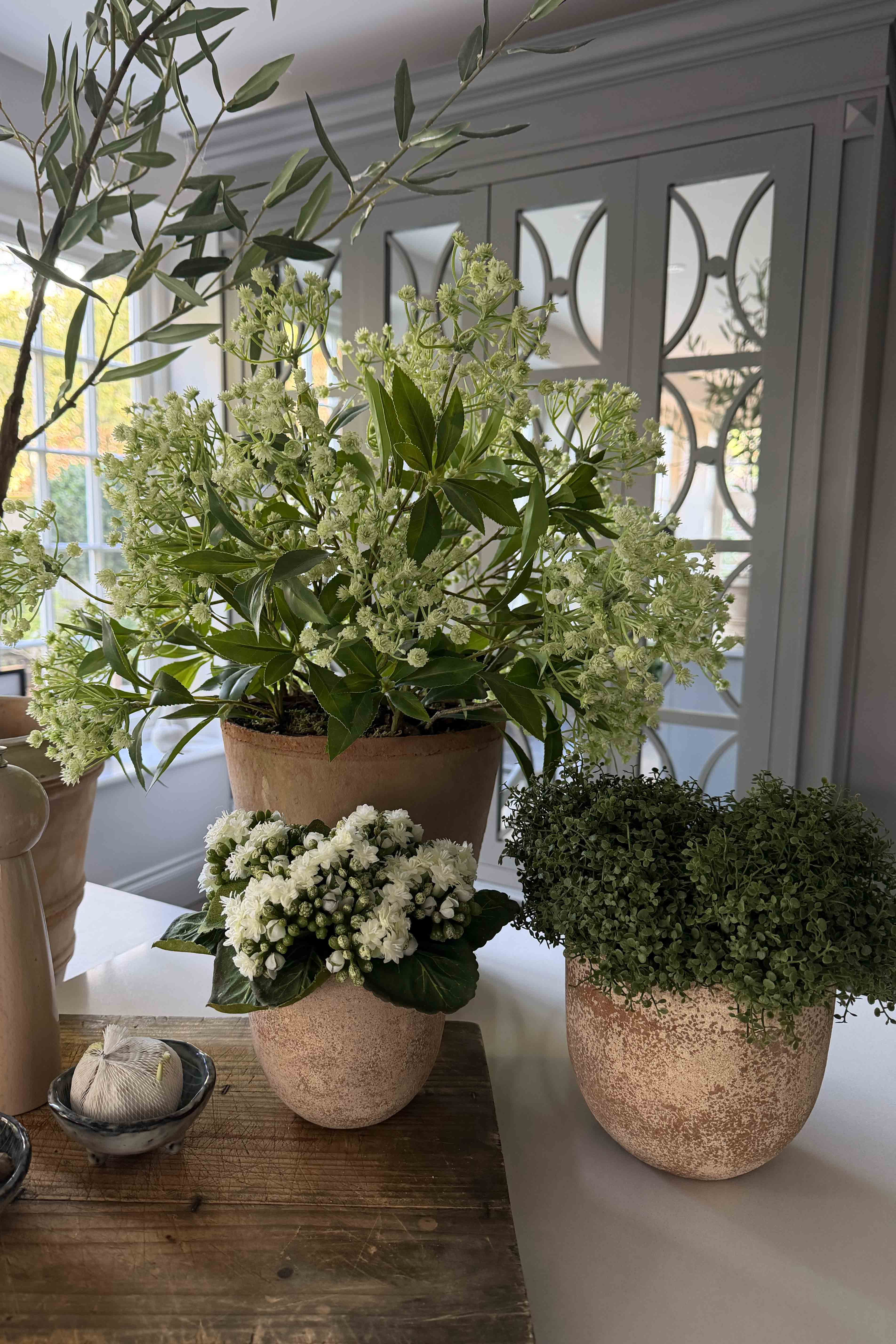 Mind Your Own Business in a Terracotta Pot RTfact Flowers 