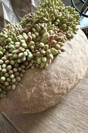 Pink Berry Stem in Organic Terracotta Bowl RTfact Flowers 