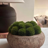 Dianthus in a Terracotta Bowl RTfact Flowers 