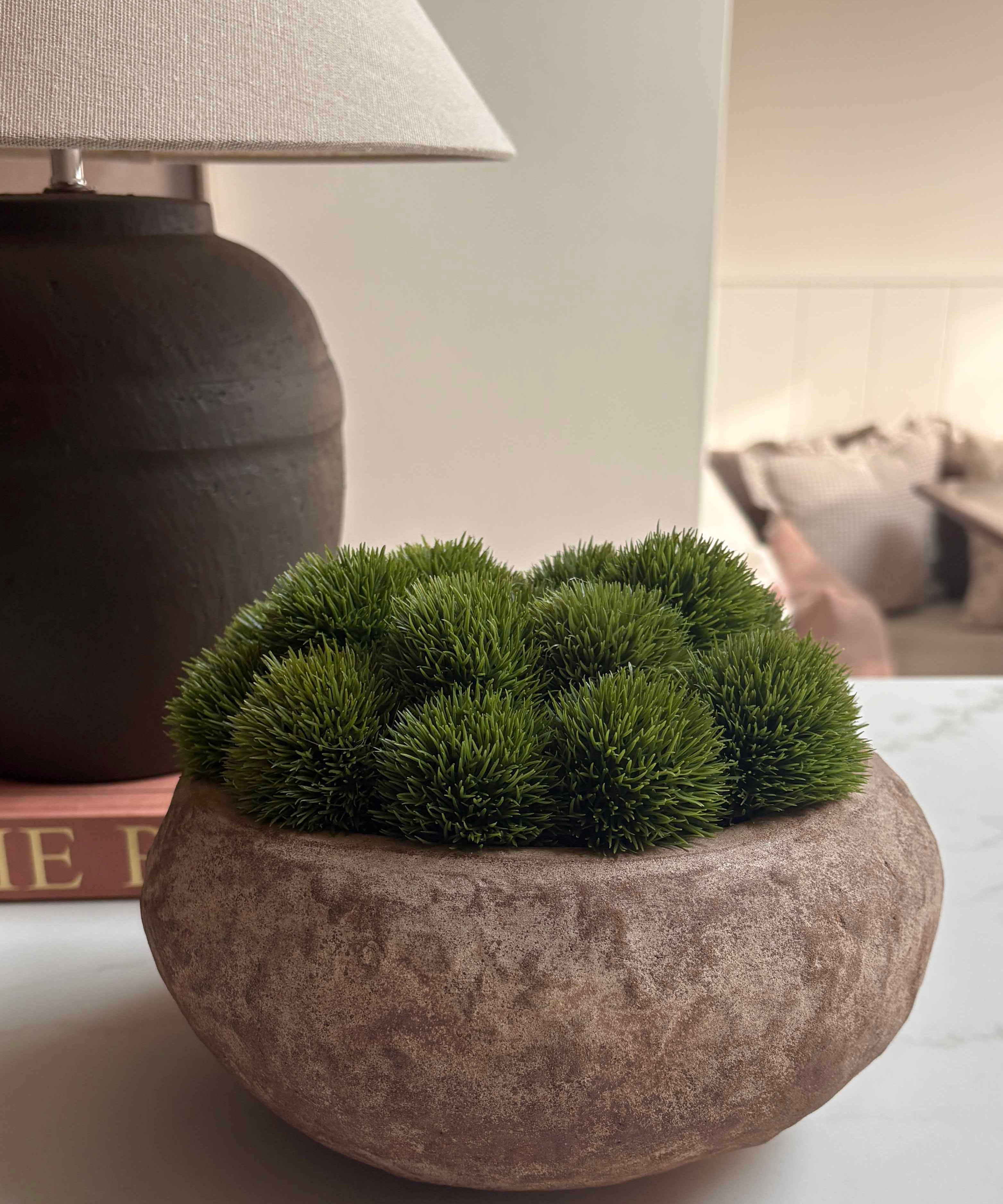 Dianthus in a Terracotta Bowl RTfact Flowers 