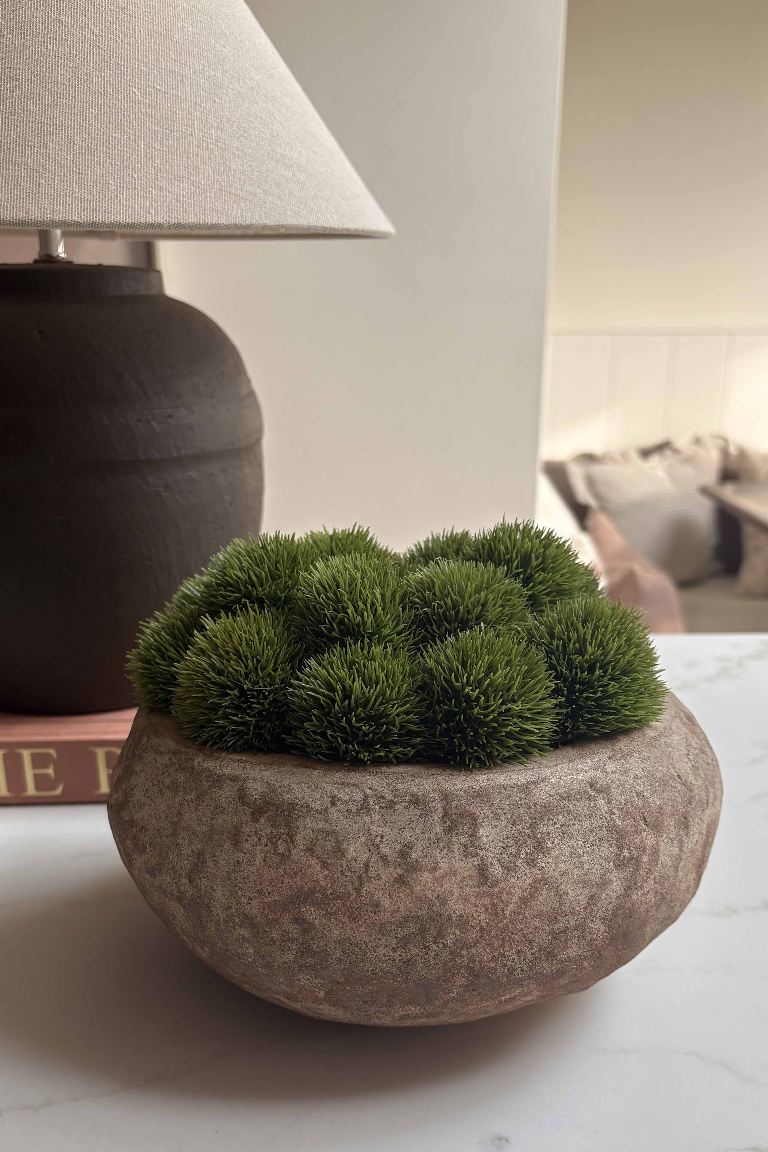 Dianthus in a Terracotta Bowl RTfact Flowers 