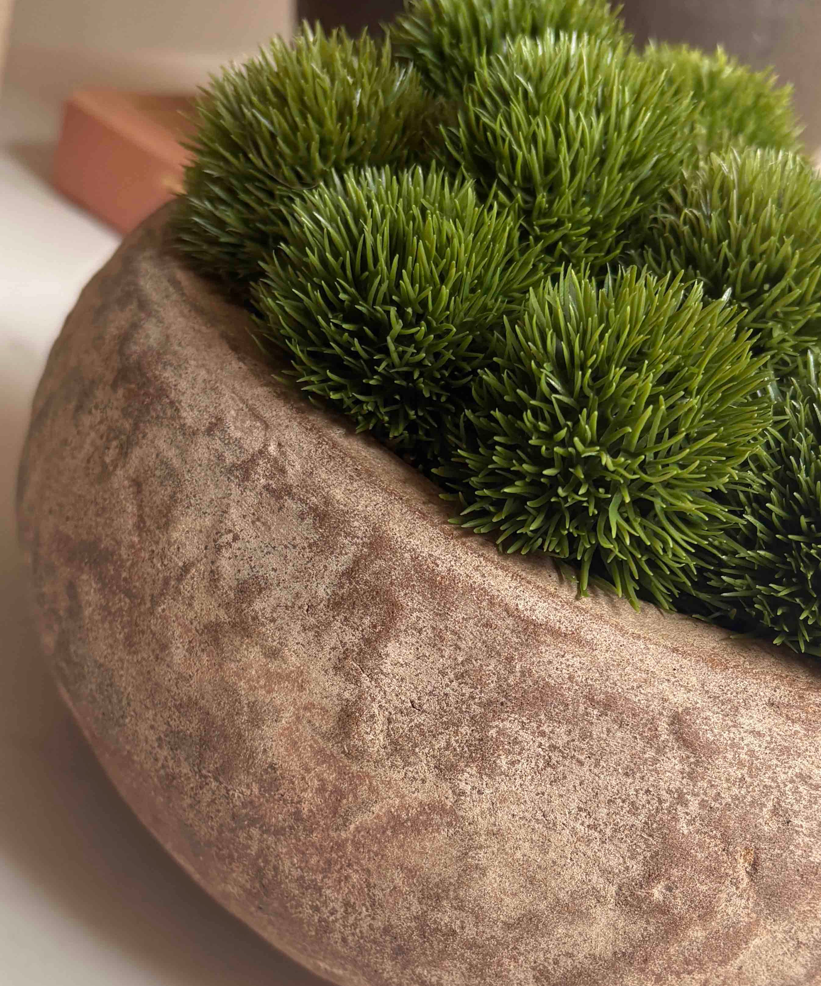 Dianthus in a Terracotta Bowl RTfact Flowers 