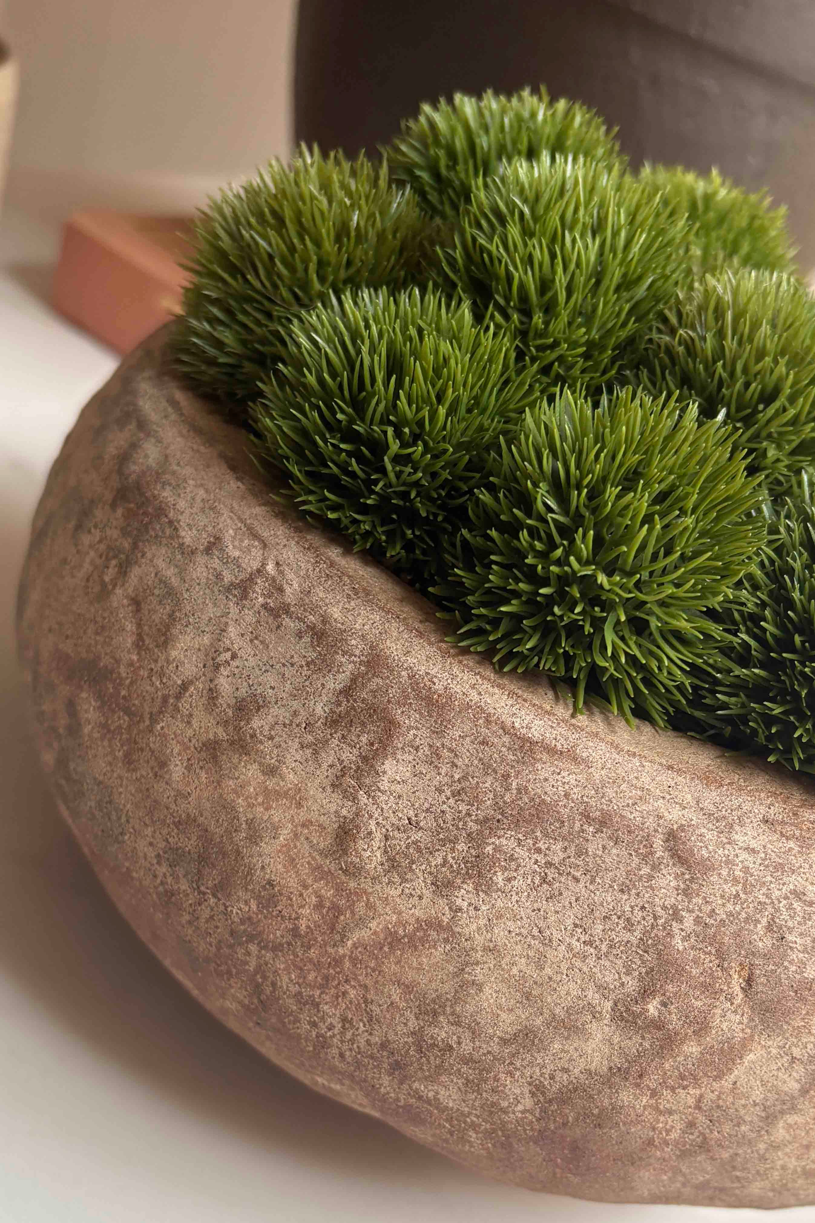 Dianthus in a Terracotta Bowl RTfact Flowers 