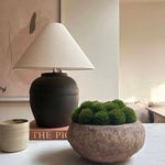Dianthus in a Terracotta Bowl RTfact Flowers 