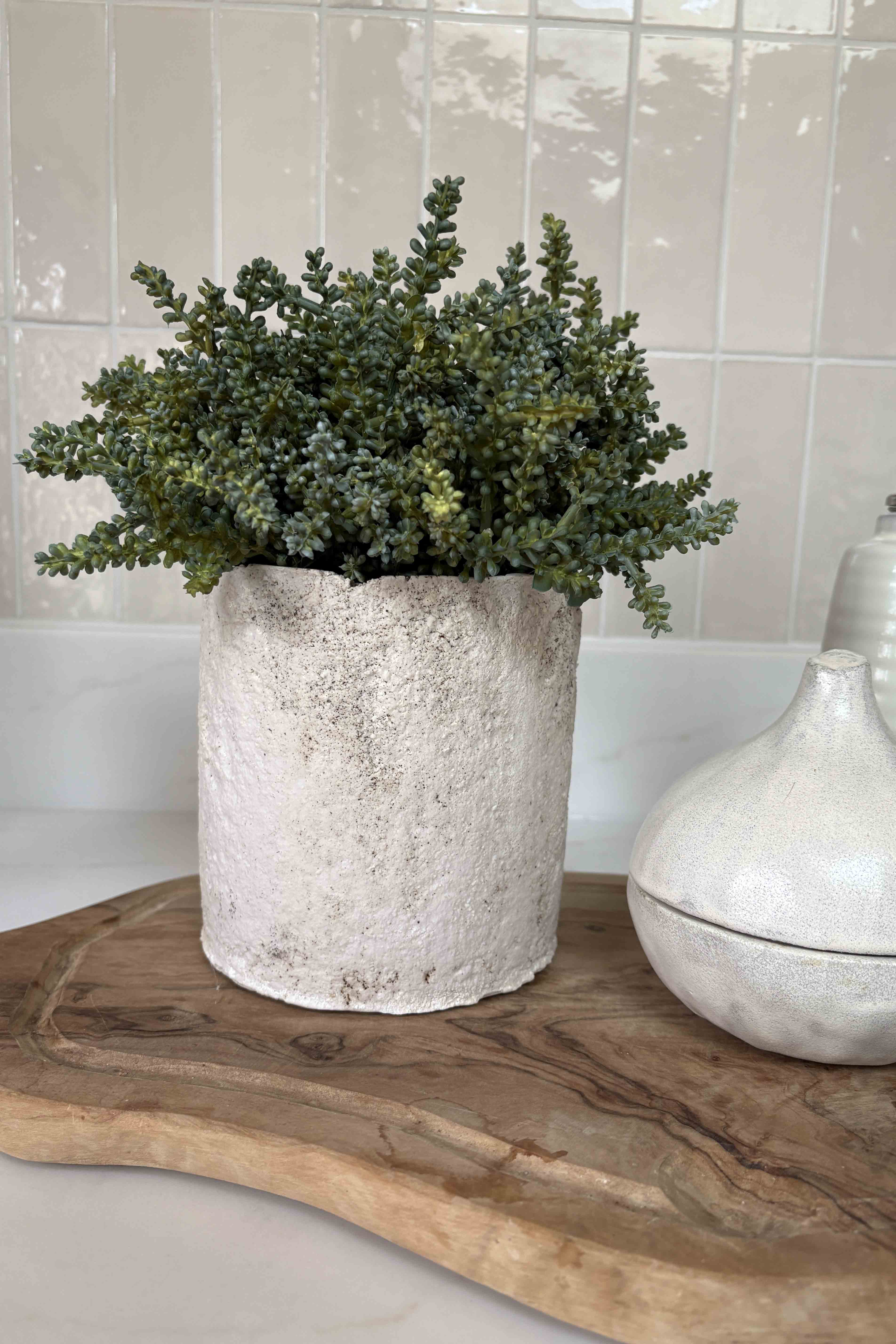 Mini Plant in a Pale Stone Pot RTfact Flowers 