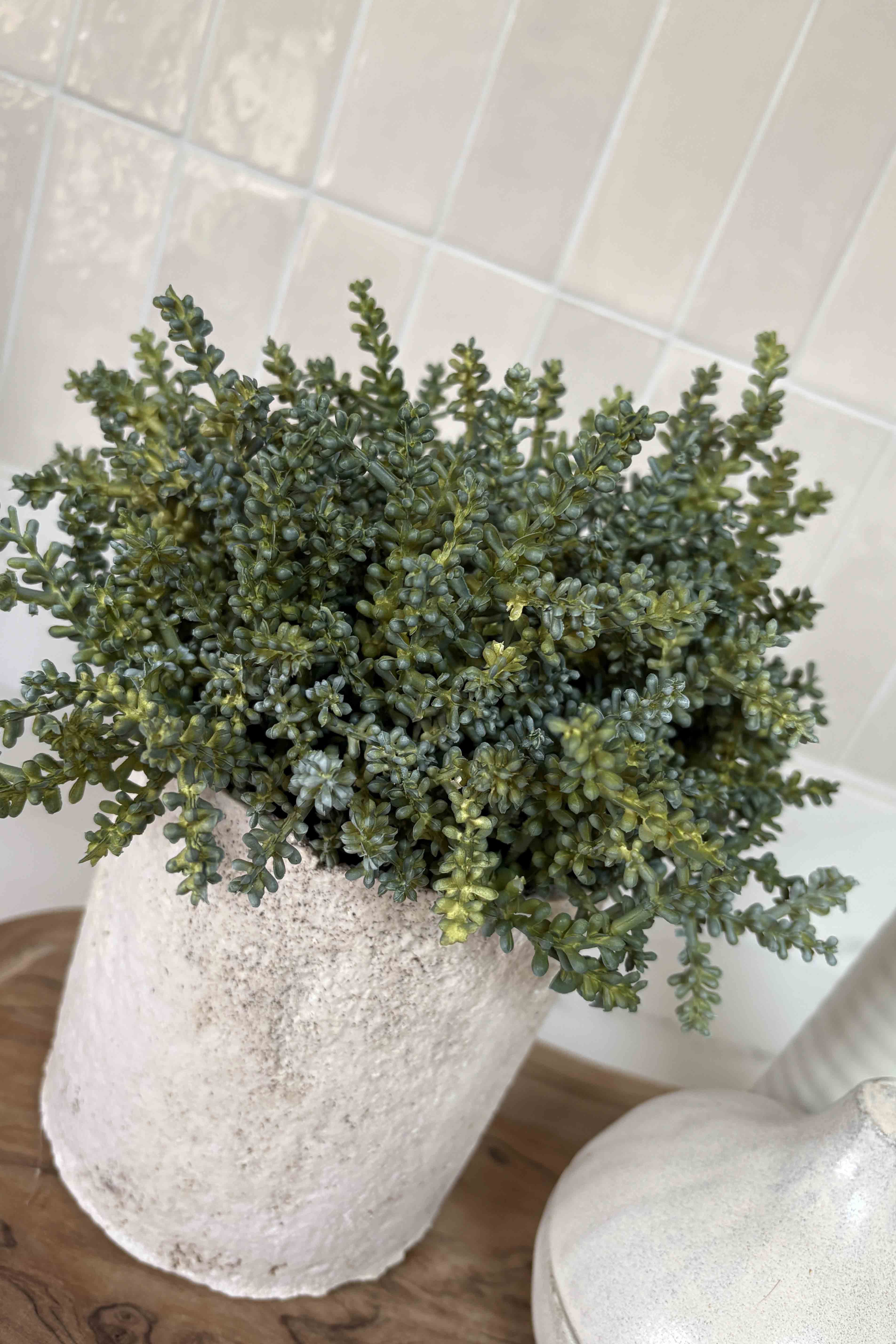 Mini Plant in a Pale Stone Pot RTfact Flowers 