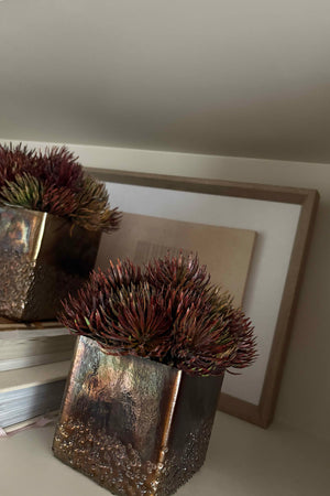 Pine Spray in a Bronze Cube RTfact Flowers 