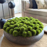Dianthus in a Dimpled Bronze Metal Bowl