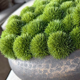 Dianthus in a Dimpled Bronze Metal Bowl