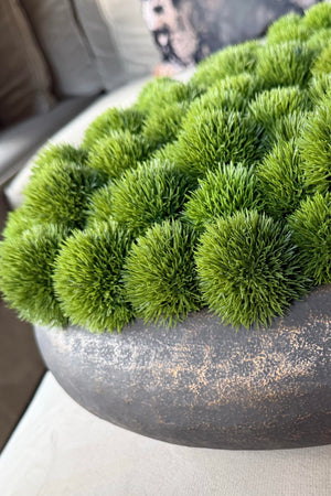 Dianthus in a Dimpled Bronze Metal Bowl