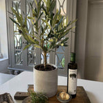 Olive Tree in a Grey Stone Pot RTfact Flowers 